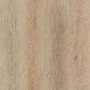 Eternity Plank Click