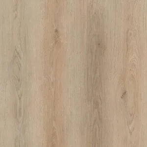 Eternity Plank Click